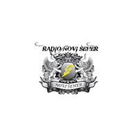 Radio Novi Šeher logo