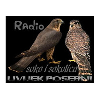 Radio Soko i Sokolica  logo