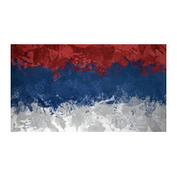 Radio Vidovdan logo